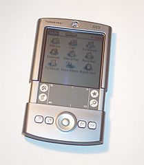 Palm 1